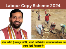 Labour Copy Scheme 2024