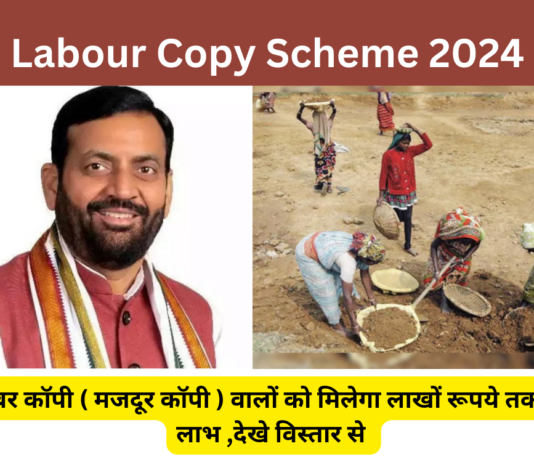 Labour Copy Scheme 2024