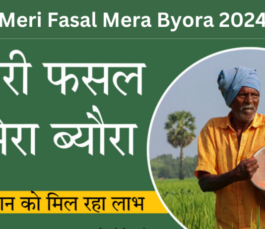 Meri Fasal Mera Byora 2024